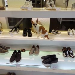 [Scattanti] SCARPE DIEM: antifurto a 4 zampe.